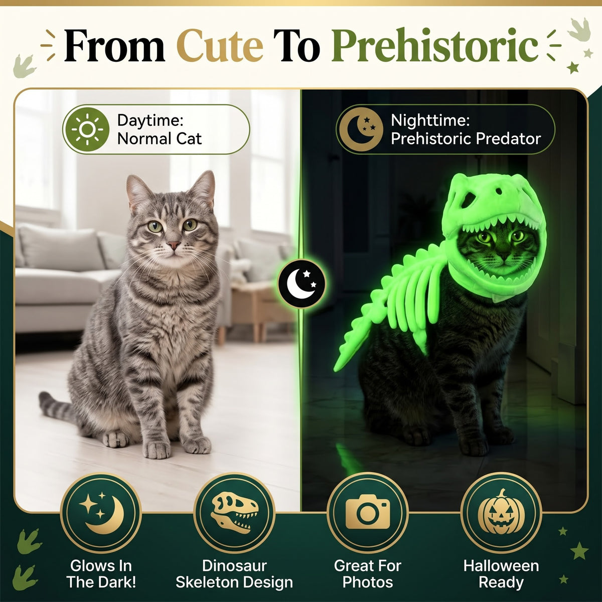 Glow in the Dark Dinosaur Skeleton Pet Costume – Halloween Outfit for Cats & Dogs