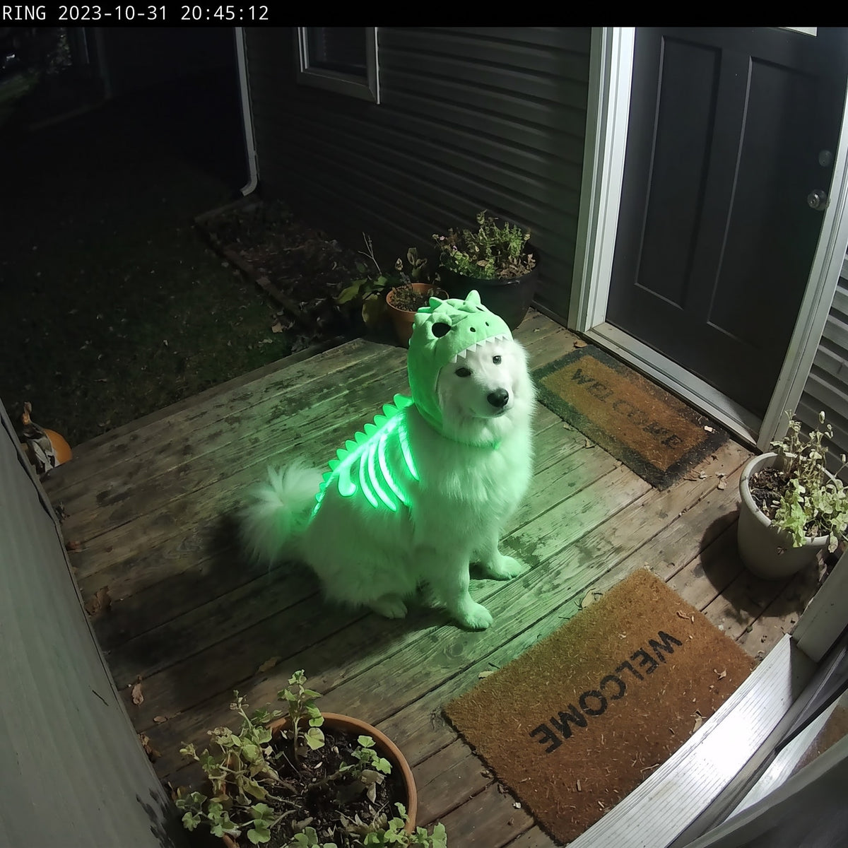 Glow in the Dark Dinosaur Skeleton Pet Costume – Halloween Outfit for Cats & Dogs